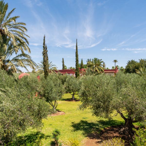 Palmerai Marrakech