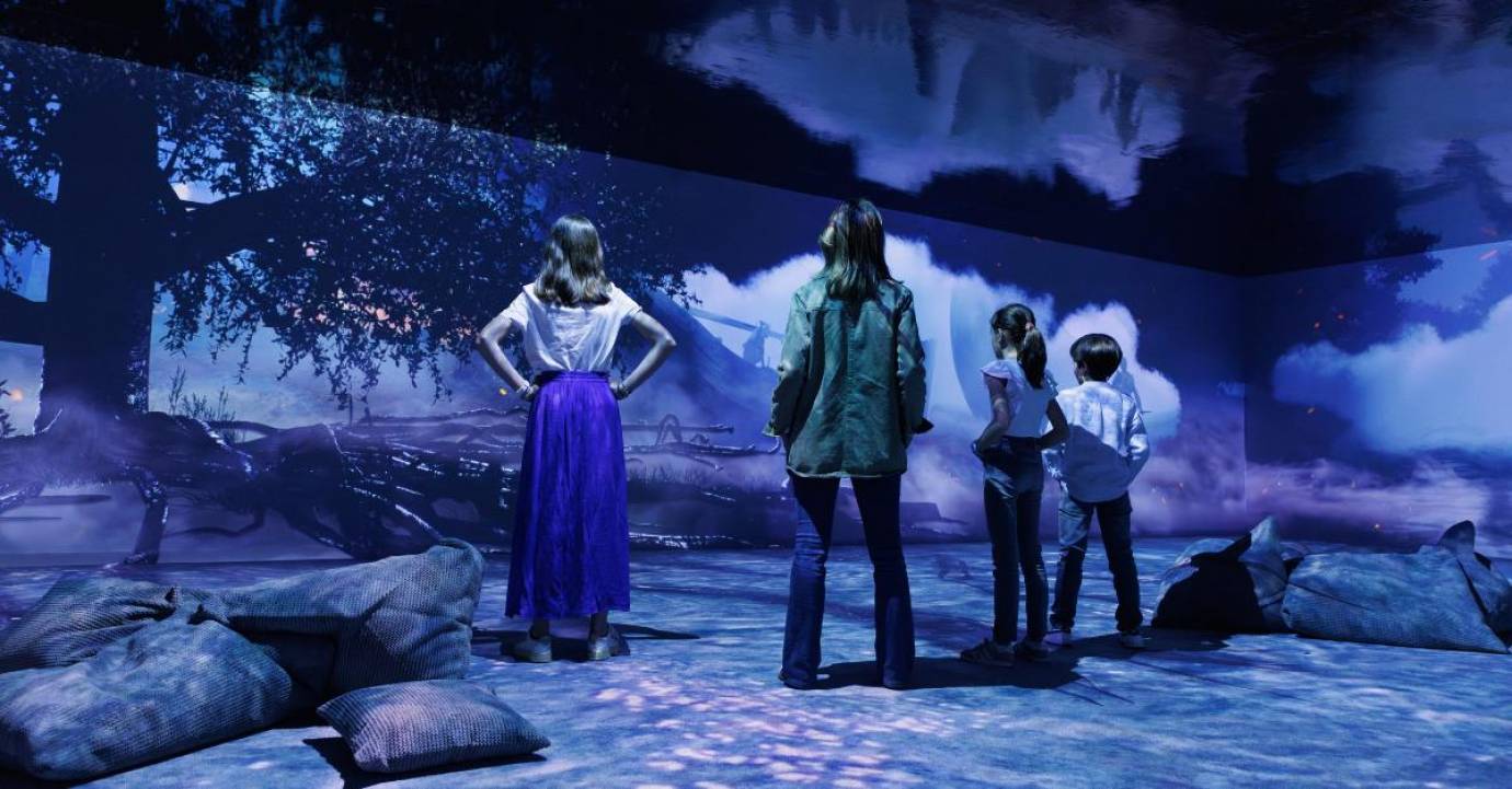 Cité Immersive : Les vikings remontent la Seine