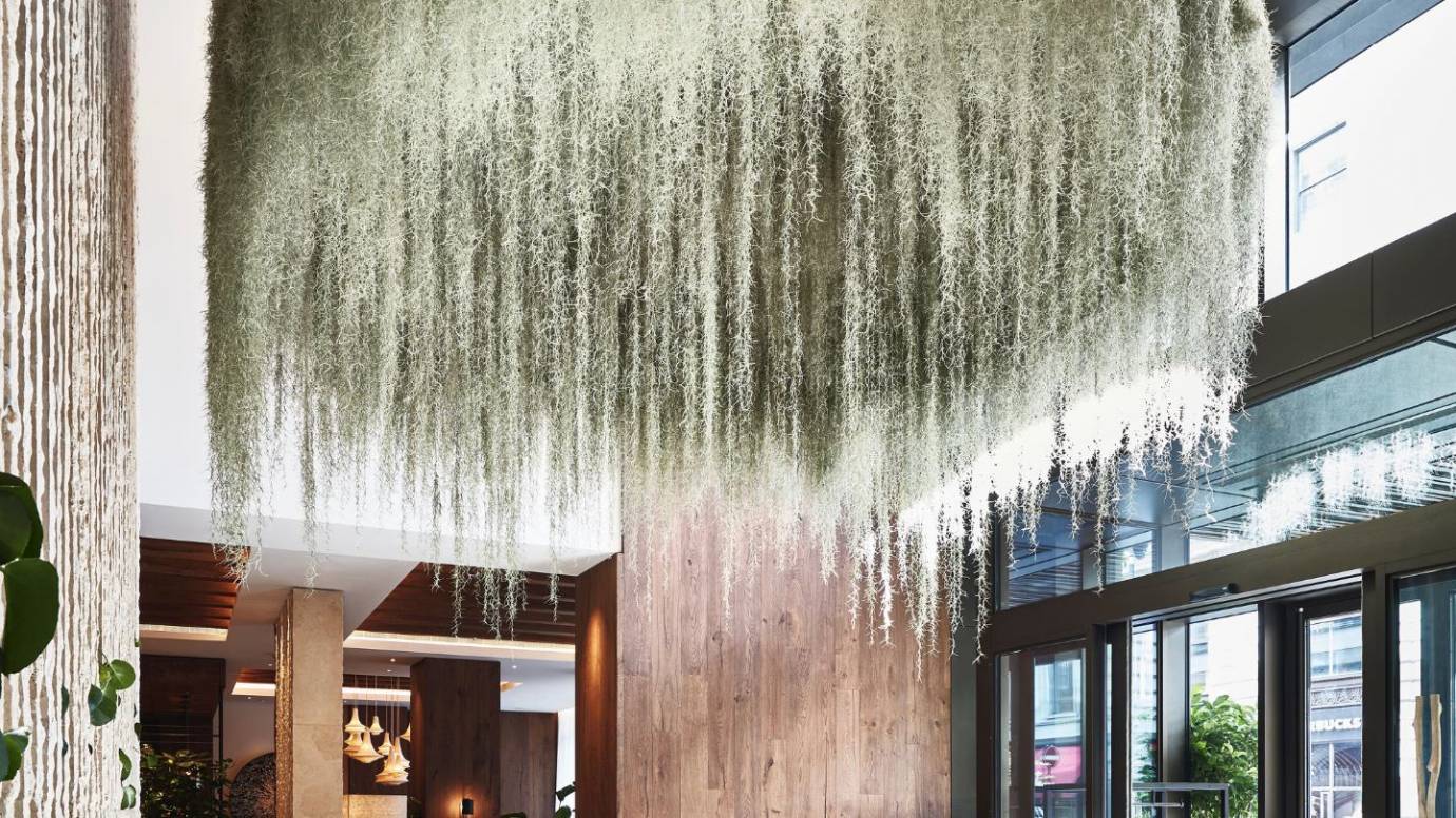 Le 1 Hotel Mayfair à Londres s’offre une entrée fantastique avec un lustre végétalisé vivant