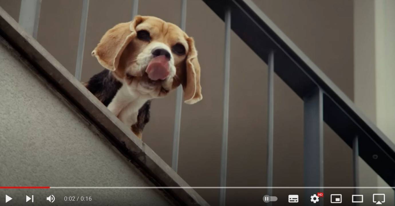 Se projeter dans son futur voisinage : on adore la nouvelle saga publicitaire de Bien’ici 