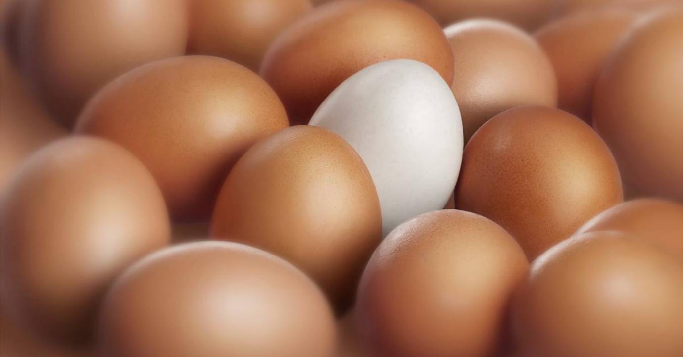 Investissement immobilier : pourquoi il faut oser la résidence services (LMNP sous bail commercial) sur le marché secondaire 