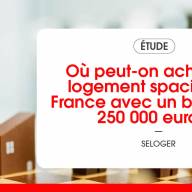 Où peut-on acheter un logement spacieux en France avec un budget de 250 000 euros ?