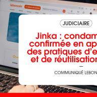 Jinka : condamnation confirmée en appel pour des pratiques d’extraction et de réutilisation illicites d’annonces immobilières issues du site leboncoin 