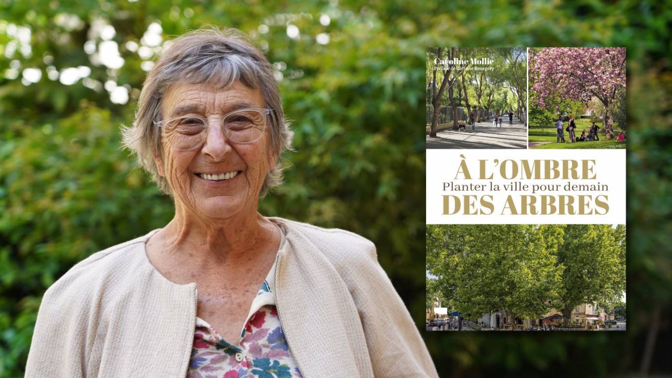 A l’ombre des arbres, planter la ville pour demain