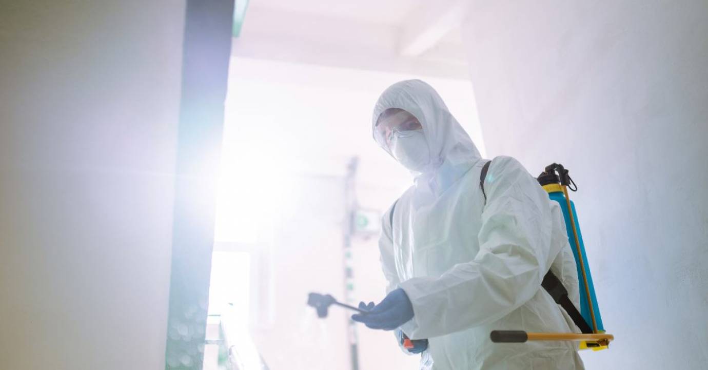 Désinsectisation du logement donné à bail, une charge locative ? Par Benjamin Naudin, Avocat